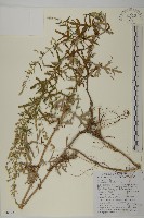 登錄號:S088672藏品圖，第1張