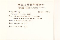 光耀藤藏品圖，第2張