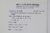 水鴨腳藏品圖，第2張