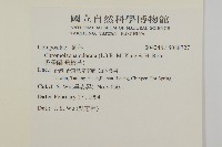 香澤蘭、飛機草藏品圖，第2張