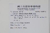 臺灣附地草藏品圖，第2張