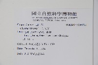 向天黃藏品圖，第2張