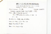 甕菜、空心菜藏品圖，第2張