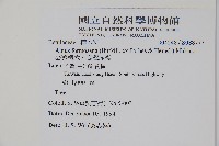 臺灣赤楊、臺灣榿木藏品圖，第2張