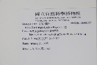 山橙藏品圖，第2張