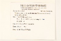 福山氏飛蓬藏品圖，第2張