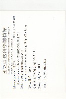 錫蘭橄欖、鋸葉杜英藏品圖，第2張