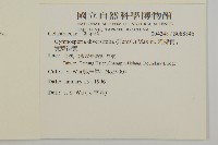 刺裸實、變葉裸實藏品圖，第2張