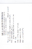 軟毛柿藏品圖，第2張