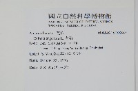 青葙藏品圖，第2張