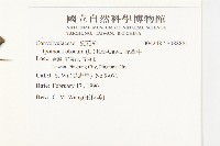 野牽牛藏品圖，第2張