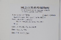 蘿芙木藏品圖，第2張