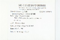 番仔藤藏品圖，第2張