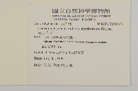 玉山卷耳藏品圖，第2張