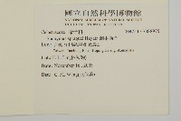 刺果衛矛藏品圖，第2張