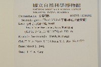 草珊瑚、紅果金粟蘭藏品圖，第2張