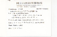 台灣佛甲草、石板菜藏品圖，第2張