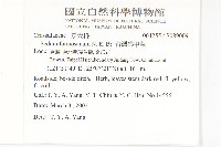 台灣佛甲草、石板菜藏品圖，第5張