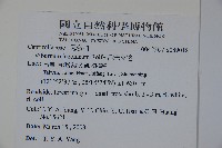 呂宋莢迷藏品圖，第5張