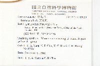 天茄兒藏品圖，第2張