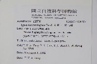 槍刀菜藏品圖，第2張