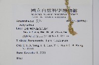 登錄號:S089037藏品圖，第2張