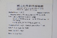 十大功勞藏品圖，第2張