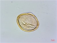 登錄號:S089050藏品圖，第3張