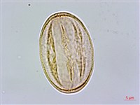 登錄號:S089050藏品圖，第4張