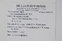 牛膝藏品圖，第2張