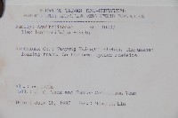 忍冬葉冬青藏品圖，第2張