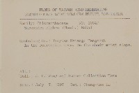 草珊瑚、紅果金粟蘭藏品圖，第2張