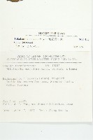 斑花青牛膽藏品圖，第2張