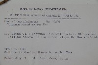 珊瑚樹藏品圖，第2張