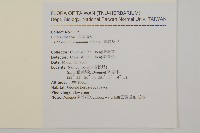 臺灣及己藏品圖，第2張