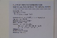 忍冬、金銀花藏品圖，第2張