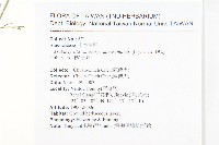 玉山筷子芥藏品圖，第2張