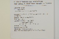 佩羅特木藏品圖，第2張