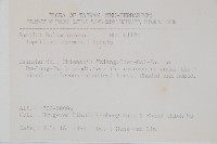 黃花鳳仙花藏品圖，第2張