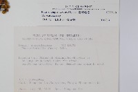 臺灣藤漆藏品圖，第2張