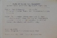 臺灣蝴蝶戲珠花、臺灣蝴蝶花藏品圖，第2張