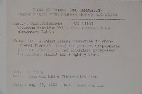 狹葉莢迷藏品圖，第2張