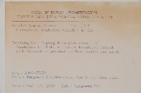 輪葉沙參藏品圖，第2張