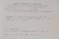 玉山沙參藏品圖，第2張