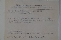 阿里山忍冬、漸尖葉忍冬藏品圖，第2張