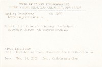 獨行菜藏品圖，第2張