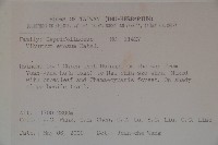 松田氏莢迷、宜昌莢迷藏品圖，第2張