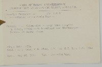 佩羅特木藏品圖，第2張