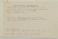 玉山石竹藏品圖，第2張