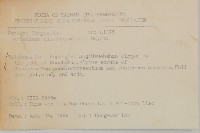 雪山艾藏品圖，第2張